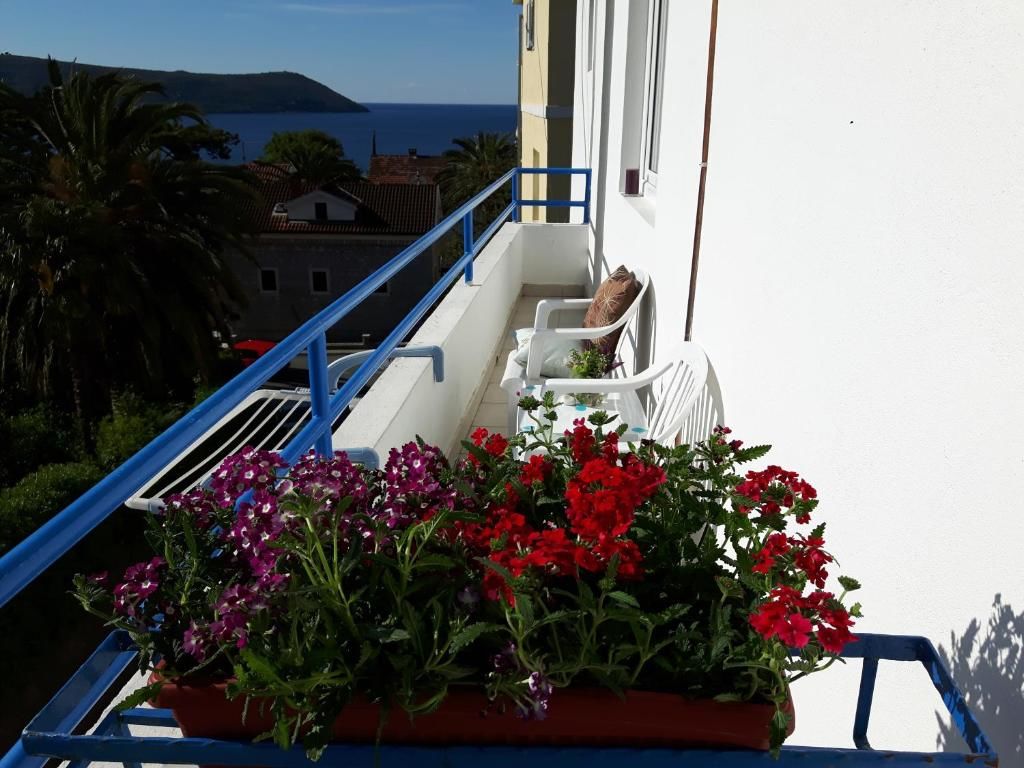 Апартаменты Studios Adriatic Херцег-Нови