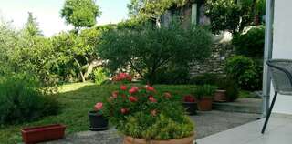 Апартаменты Studios Adriatic Херцег-Нови Апартаменты с 1 спальней, вид на сад-7